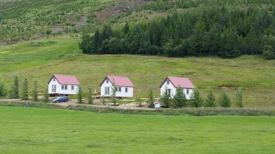 Oddsstaðir accommodation